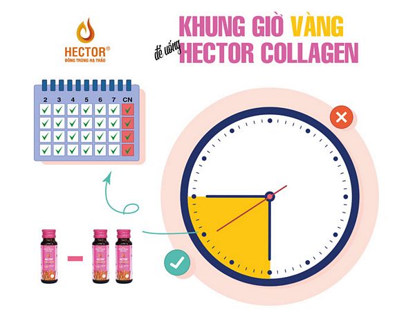 Hector Collagen uống khi nào tốt nhất